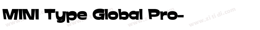 MINI Type Global Pro字体转换